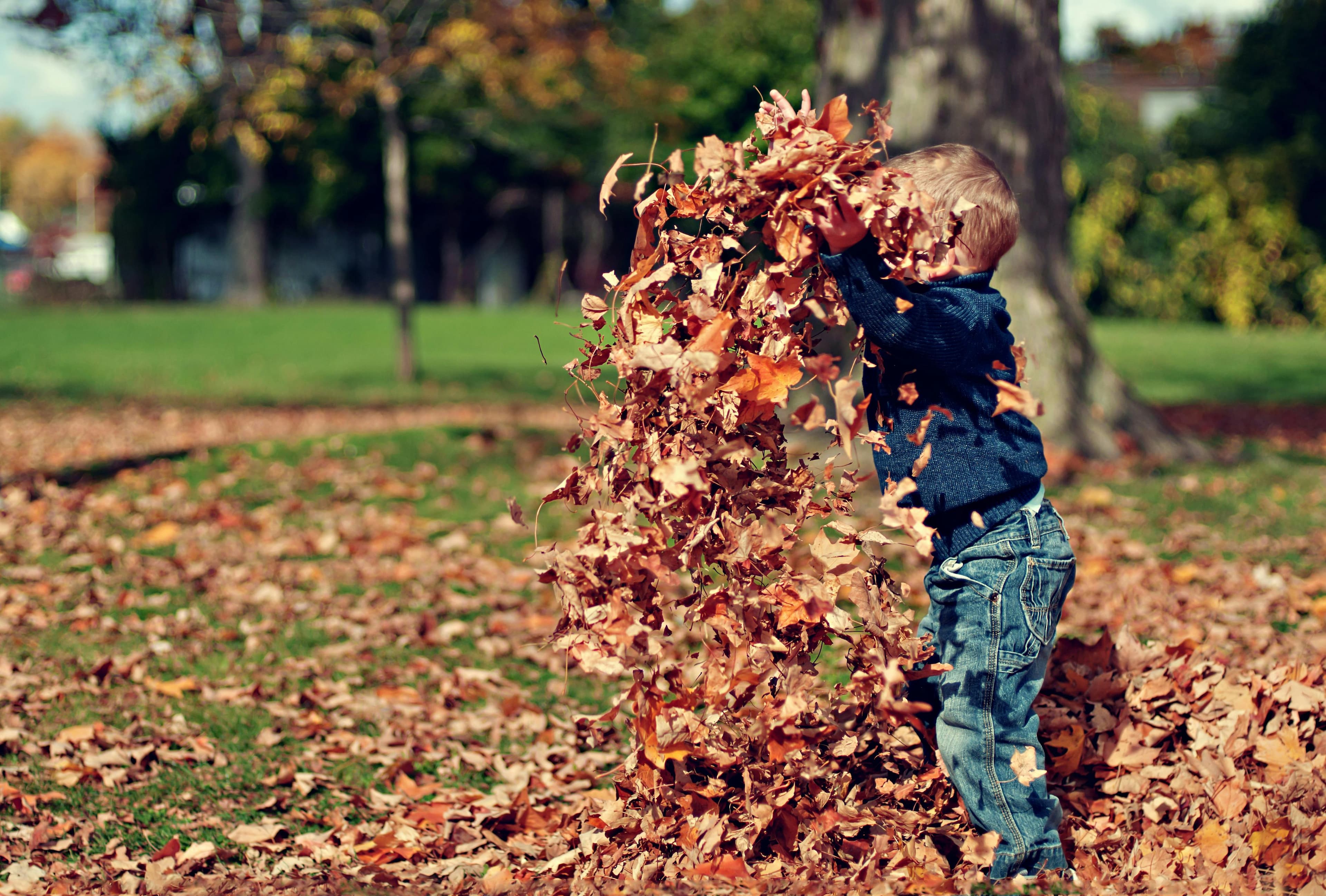 Genießen Sie Ihre Herbstferien mit der Familie - Zeit für Entspannung und Abenteuer